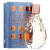 Guess Guess Dare SET EDT 100 ml + EDT 15 ml + Lozione per il corpo 200 ml