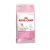 Royal Canin Gatto Babycat 34 Secco