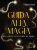 Guida alla magia. Nella mente, nella storia, nel mondo