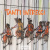 Tanti intrecci