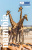 Namibia