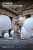 Attraverso. Territorio e scultura