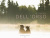 Le foreste dell’orso