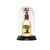 Pride Eternal Oud ISPIRATO A GRAND SOIR