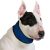 ACK Collare Refrigerante Blu per Cani Taglia S