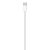 Apple USB-C Woven Cavo ricaricatore (1m)