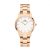 Orologio Daniel Wellington Donna Iconic Link DW00100211