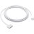 Apple MLYV3ZM/A Cavo USB 2 m USB C MagSafe 3 Bianco – nuovo