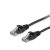 Equip 625451 cavo di rete Nero 2 m Cat6 U/UTP (UTP)