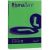 Favini Rismaluce Carta Inkjet A3 (297×420 Mm) 200 Fogli Verde