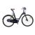 Lexgo Ct26 Bicicletta Elettrica Nero 66 Cm (26″) 25 Kg