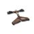 Morso Pettorina ad H Cappuccino – XS