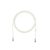 Panduit 5m Cat6 UTP cavo di rete Bianco U/UTP (UTP)