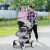Costway Passeggino per neonati ad alta posizione, Carrozzina reclinabile reversibile pieghevole con copertura regolabile Grigio