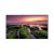 Samsung QB75B Pannello piatto per segnaletica digitale 190.5 cm (75″) VA Wi-Fi 350 cd/m² 4K Ultra HD Nero Tizen 6.5 16/7