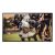 Samsung Qe65lst7tcu 165.1 Cm (65″) 4k Ultra Hd Smart Tv Wi-fi Nero 2000 Cd/m²