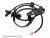 Sensore ABS BLUE PRINT ADBP710170